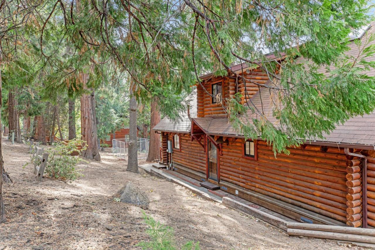 Pine Cone Haven Idyllwild Exterior foto